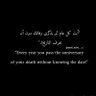 Profilbild von أسلوبك ثم حترامك ثم صرحتك معي؛ لايهمني جمالك😏 لا