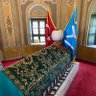 Türk Oğlu Türk's profile picture