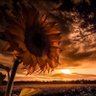 أريج العمري 💕 profil fotoğrafı