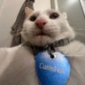 Profilbild von Docket