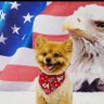 Zacris🇺🇸Sparks 的头像