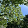 mizuho profil fotoğrafı