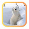 バタクマ🐻クマぽっち(風俗紳士サブ) profil fotoğrafı