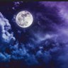 MidnightLove's profile picture