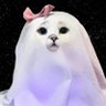 CASPA's profile picture