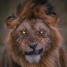 Badr+ profil fotoğrafı