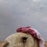 Фото профиля عبدالله الحميزي