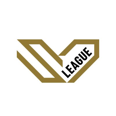 SVLEAGUE_JP's profile picture
