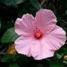 Фото профиля தமிழன்