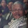 inconnue ici 🐢 🇵🇸 profil fotoğrafı