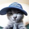 Profilbild von Rouxka