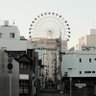 Xihonshi's profile picture