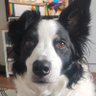 Profilbild von Jo Lewis
