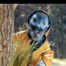 Ravi Verma profil fotoğrafı