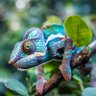 Profilbild von EarthEnthusiast