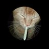 เสียเธอไปเพราะใบท่อม's profile picture