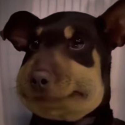Немного Выпить немного Покурить🇧🇾 В's profile picture
