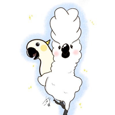 me_gu_ooooo's profile picture