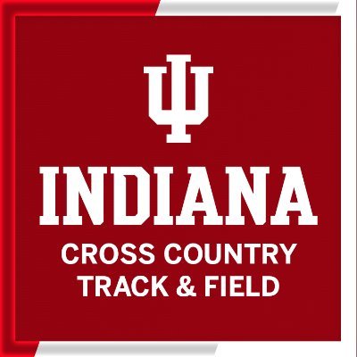 IndianaXCTF's profile picture