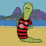 Profilbild von Minhoca do Fla
