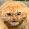 E 🇱🇻's profile picture