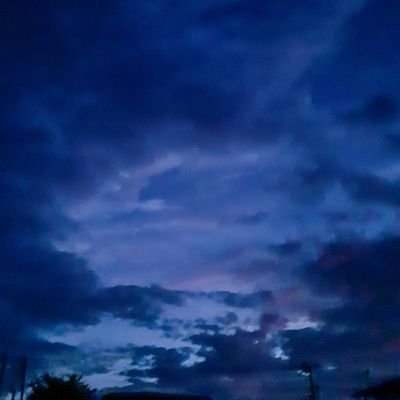 n__nn010's profile picture