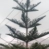 Фото профиля عبدالله الراعي