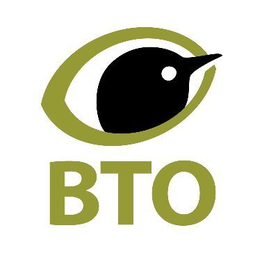 BTO's profile picture