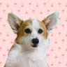 .*。ちはる 。*. 的头像
