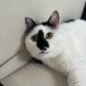 鏡面反光 profil fotoğrafı