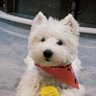 太阳黑子 profil fotoğrafı