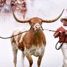 Texas Titans fan's profile picture