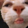 Profilbild von pudding
