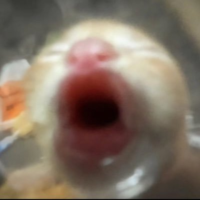 iinLOVEonn's profile picture