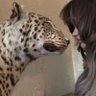 Фото профиля 🐆