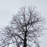 Фото профиля खडेरि