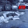 NTRmusic 的头像