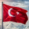 ali kocak //🔺// 💙💛's profile picture