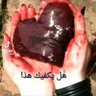 ابوالبراء 的头像