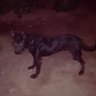 Profilbild von Antonio