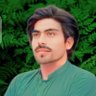 Фото профиля Saqib khan