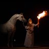 فارس الشمال 🐎's profile picture