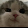 mo_0111 的头像