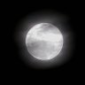 Tharan profil fotoğrafı
