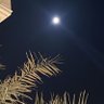 🇶🇦 profil fotoğrafı