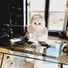 MainLineEasterBunny 的头像