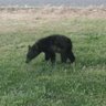 jaaaaaaaaaaaaaawn profil fotoğrafı