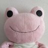 ピンキー🐸✨🌻's profile picture