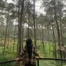 ajenk 的头像