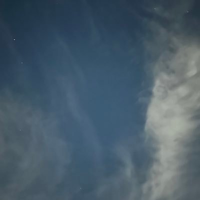 chloe57288's profile picture